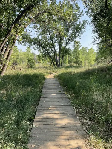 Best Hikes and Trails in Red Fox Meadows Natural Area | AllTrails