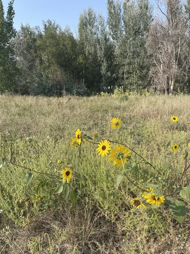 Best Hikes and Trails in Red Fox Meadows Natural Area | AllTrails