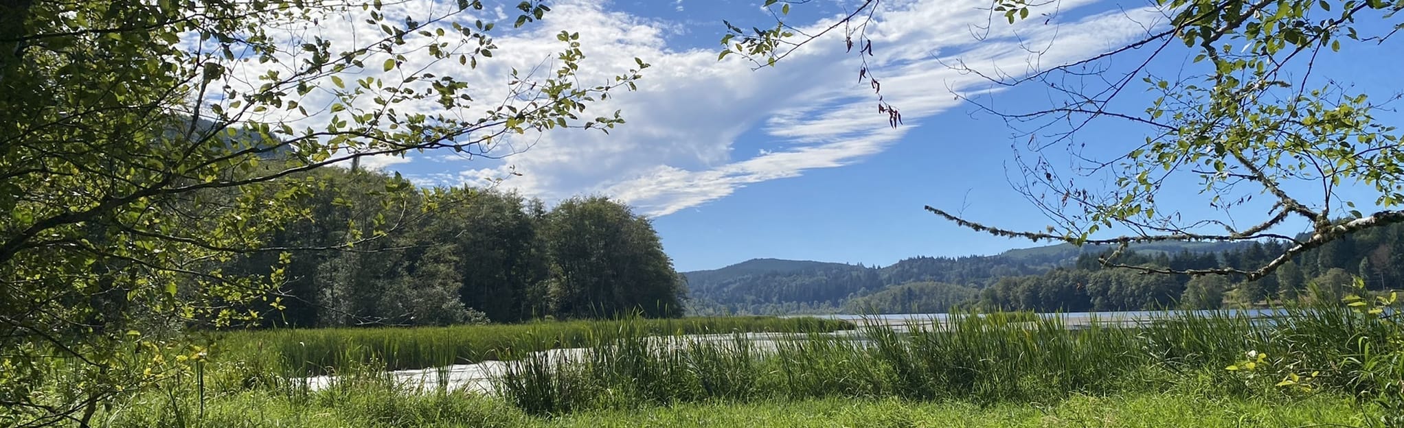 Sulphur Creek Falls, Washington 157 Reviews, Map AllTrails