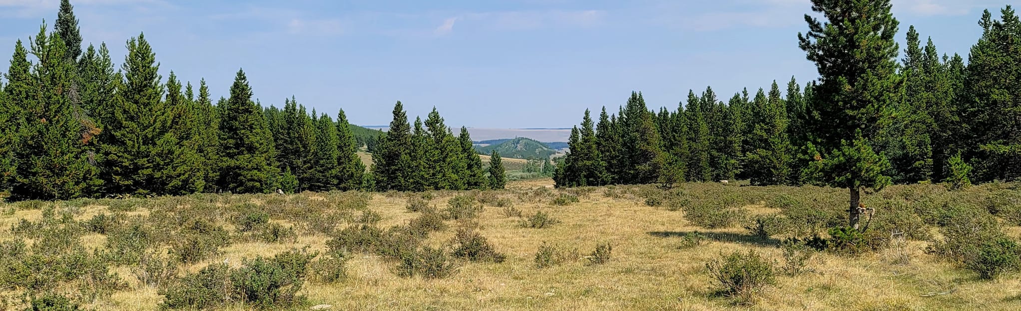 Duck Lake, Her Lake and Old Crow Lake Trail 36 Fotos Wyoming AllTrails