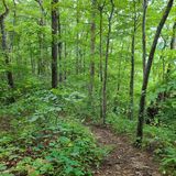 Stecoah Gap Loop Via Appalachian Trail, North Carolina - 167 Reviews ...