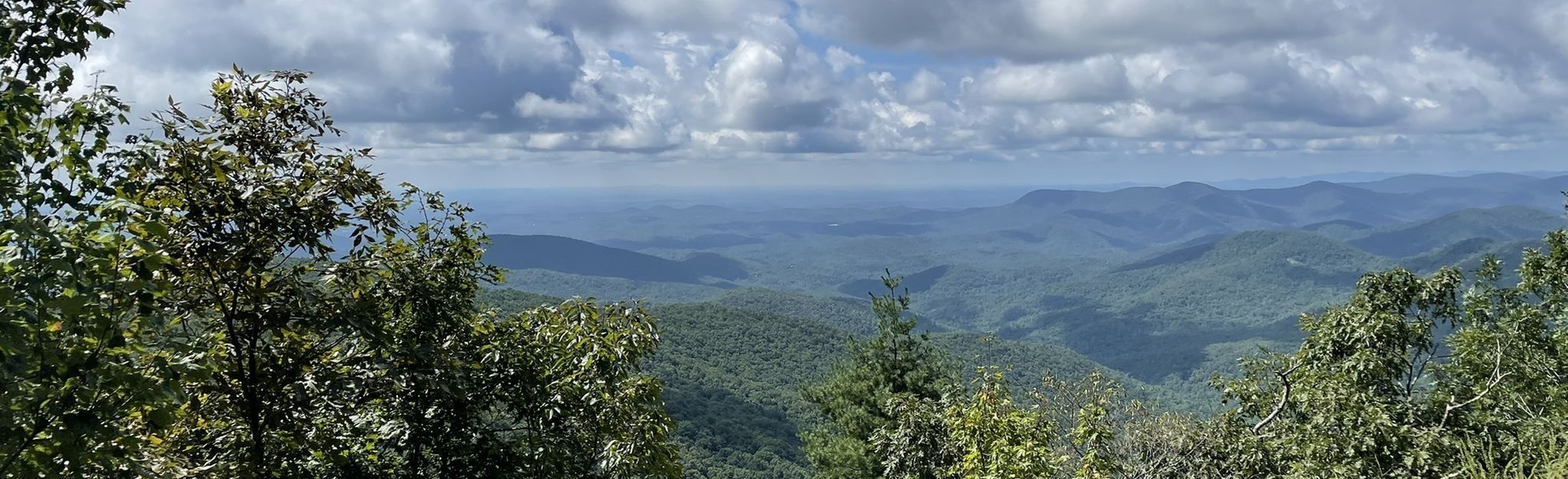 Wolf Laurel Top via Appalachian Trail, Georgia - 651 Reviews, Map ...