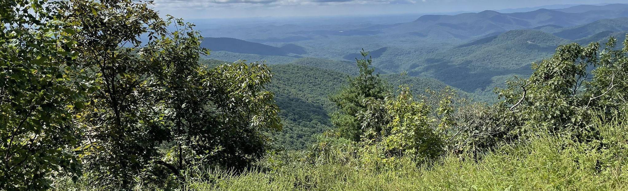 Appalachian Trail: Hogpen Gap To Woody Gap - Georgia | AllTrails