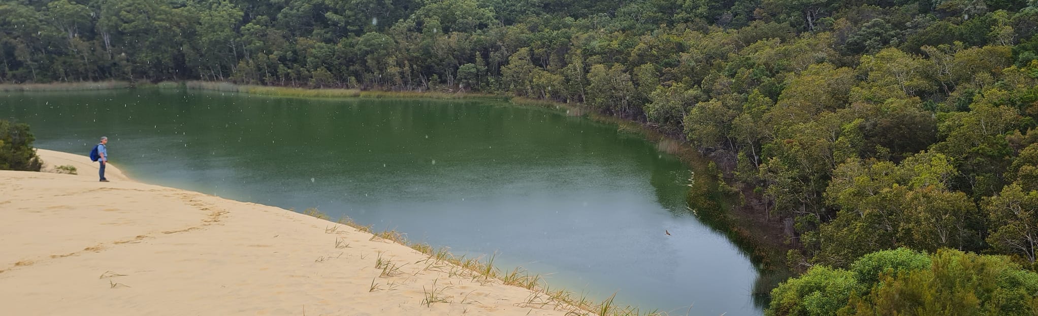 Lake Wabby Lookout via Lake Wabby 4 Reviews, Map Queensland