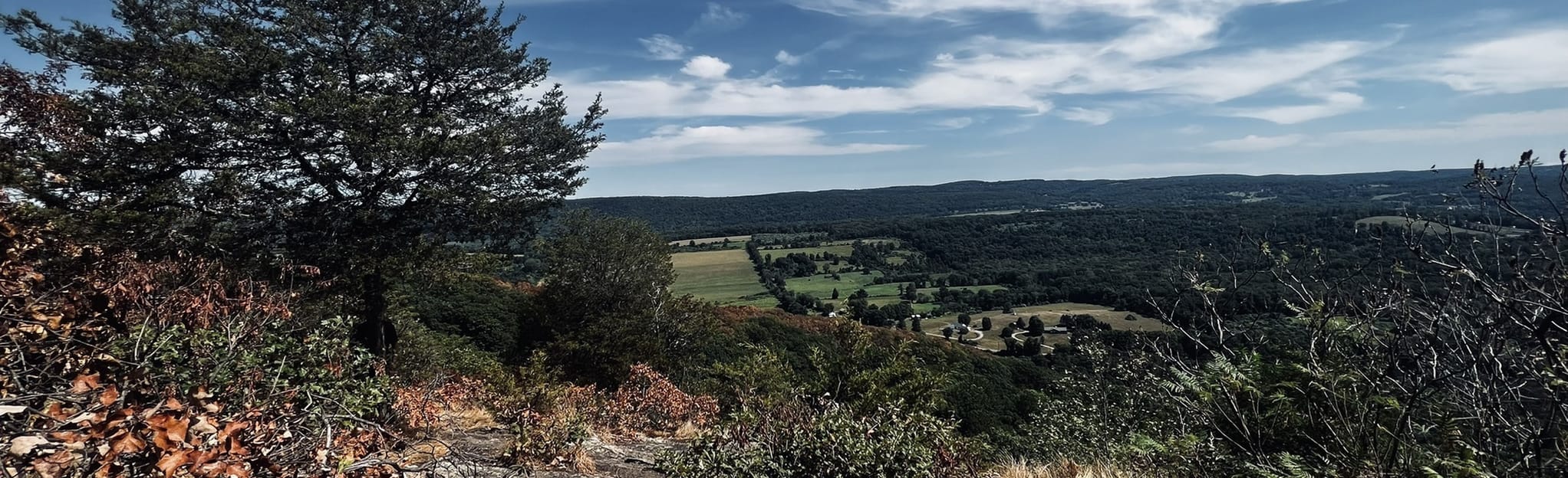 Cat Rocks via Appalachian Trail 376 Reviews, Map New York AllTrails
