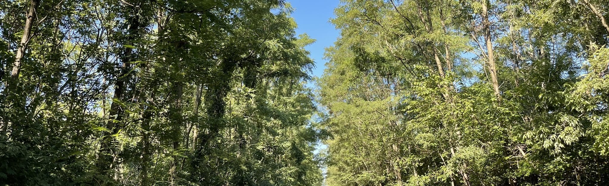 Cardinal Greenway and Sweetser Switch Trail 60 Reviews, Map Indiana