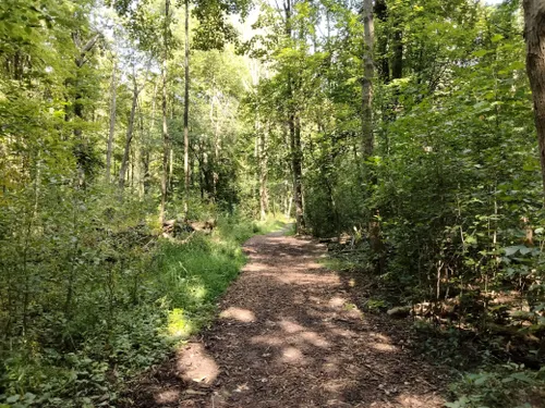 Best Hikes and Trails in Asbury Woods | AllTrails