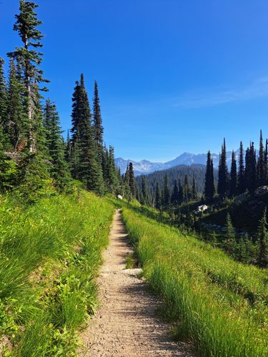 Best 10 Trails in Mount Revelstoke National Park | AllTrails