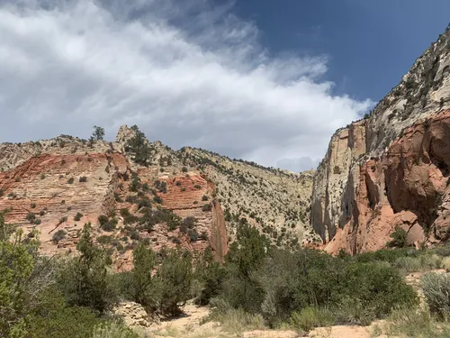 10 Best Trails and Hikes in Orderville | AllTrails
