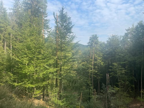 Benjental und Teufelsfelsen