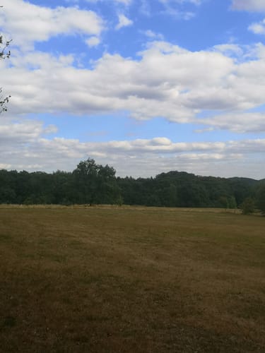 Hirzstein und Teufelsmauer ab Brasselberg