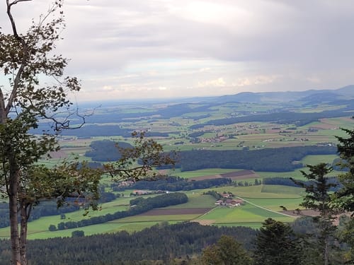 Goldsteig Zuweg Nr. 12: Neukirchen - Forstdiensthütte Hohenbogen