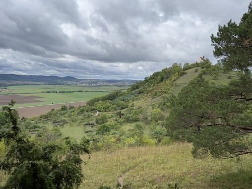 Hirschauer Spitzbergwegle (Premiumspazierwanderweg)