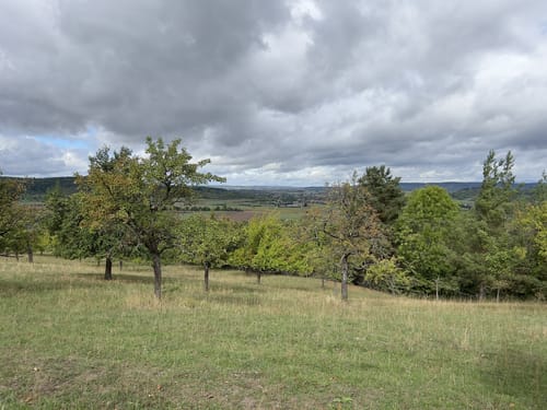 Hirschauer Spitzbergwegle (Premiumspazierwanderweg)