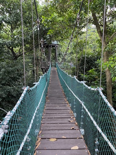Best Hikes and Trails in Taman Eko Rimba Kuala Lumpur | AllTrails