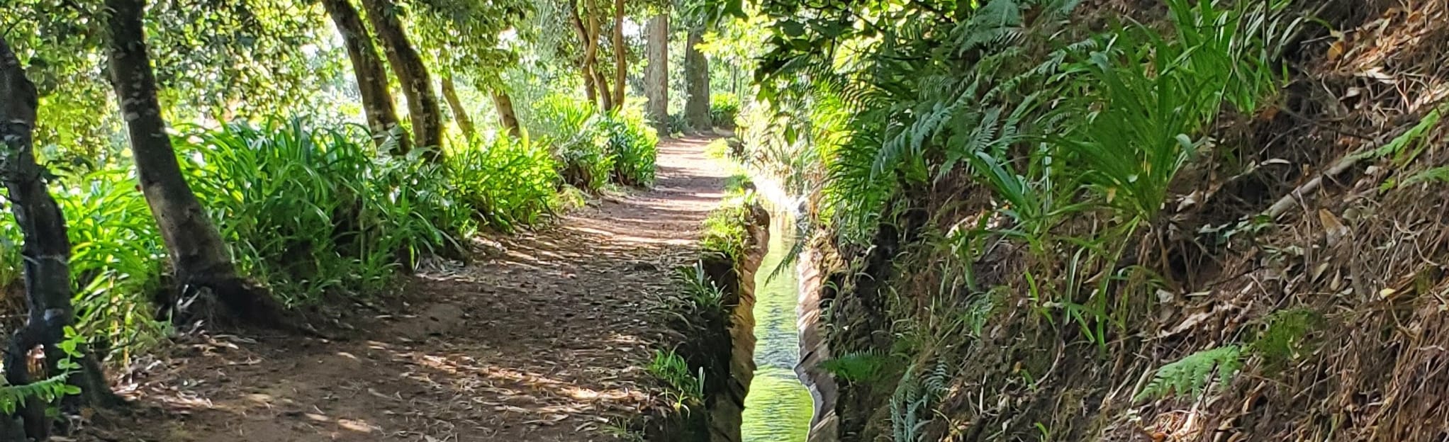 Vale Paraíso Levada da Serra do Faial 50 Fotos Madeira, Portugal