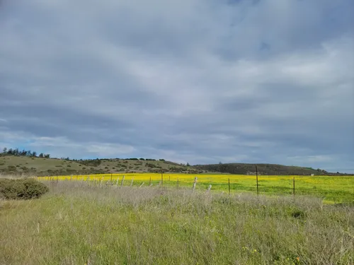 Best 10 Hikes and Trails in Wilder - EyJidWNrZXQiOiJhc3NldHMuYWxsdHJhaWxzLmNvbSIsImtleSI6InVwbG9hZHMvcGhvdG8vaW1hZ2UvNTE4MjA2MjUvMmE1MGQ3NTY1MWNlZTU2OWQxZDc0YmM0NDI3MDI2NjUuanBnIiwiZWRpdHMiOnsidG9Gb3JtYXQiOiJ3ZWJwIiwicmVzaXplIjp7IndpZHRoIjo1MDAsImhlaWdodCI6NTAwLCJmaXQiOiJpbnNpZGUifSwicm90YXRlIjpudWxsLCJqcGVnIjp7InRyZWxsaXNRdWFudGlzYXRpb24iOnRydWUsIm92ZXJzaG9vdERlcmluZ2luZyI6dHJ1ZSwib3B0aW1pc2VTY2FucyI6dHJ1ZSwicXVhbnRpc2F0aW9uVGFibGUiOjN9fX0=