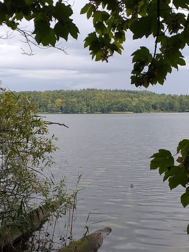 Um den Kleinen und Großen Schierensee