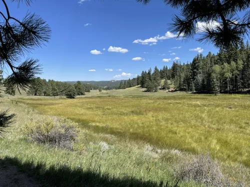 Best 10 Hikes And Trails In Florissant Fossil Beds National Monument 