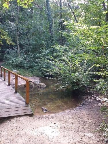 Um den Kleinen und Großen Schierensee