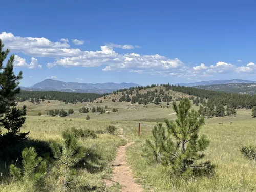 10 Best Hikes and Trails in Florissant Fossil Beds National Monument ...