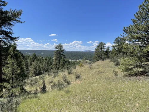 10 Best Hikes and Trails in Florissant Fossil Beds National Monument ...