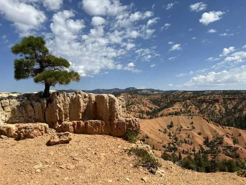 Best hikes in outlet dixie national forest