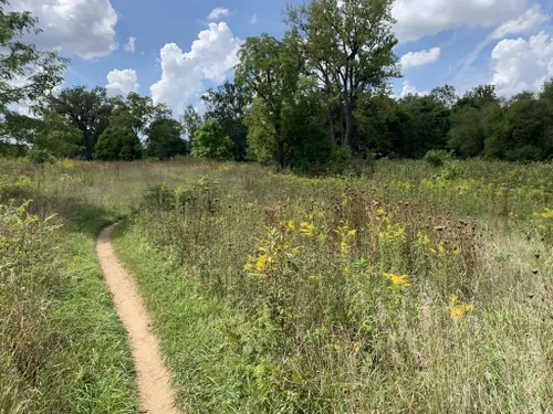 South Loop Mountain Biking Trail - Indianapolis, Indiana