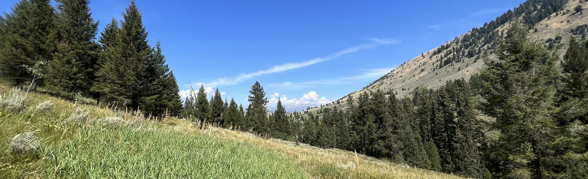 Cache Creek, Wyoming - 132 Reviews, Map | AllTrails