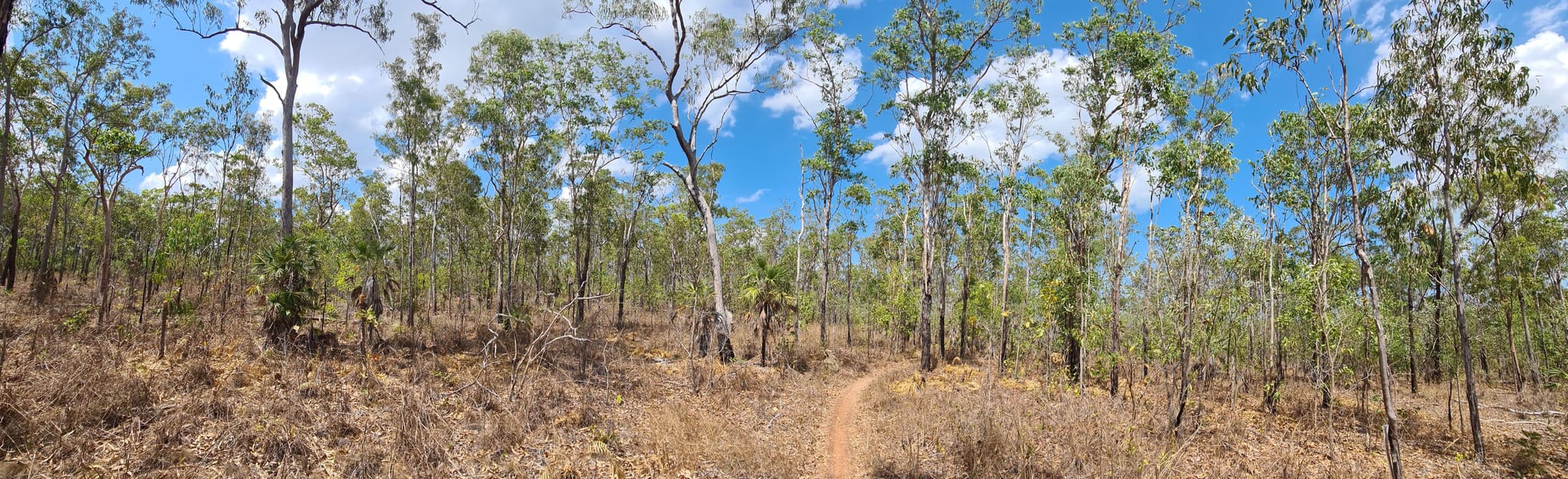 Charles Darwin Mountain Bike Loop Northern Territory, Australia