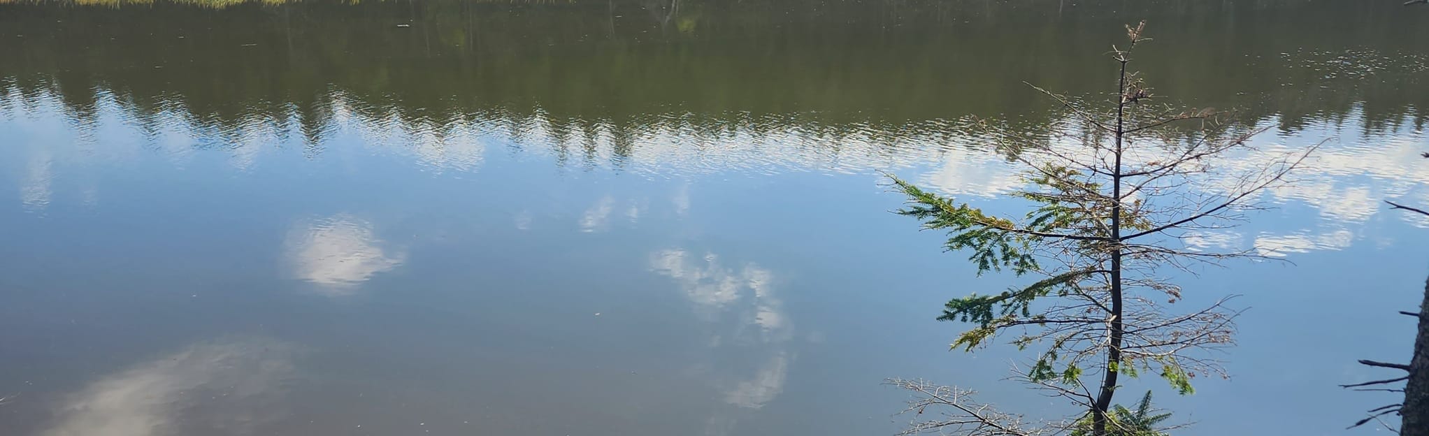Bonshaw to Meadowbank Paddle Route, Prince Edward Island, Canada 5