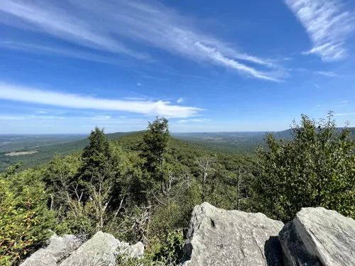 Best Hikes And Trails In Hawk Mountain Sanctuary 