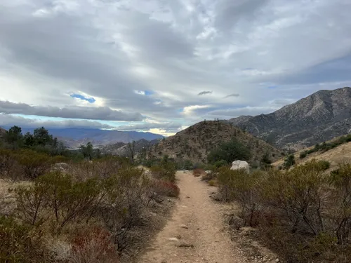 Sequoia national park discount dog friendly trails