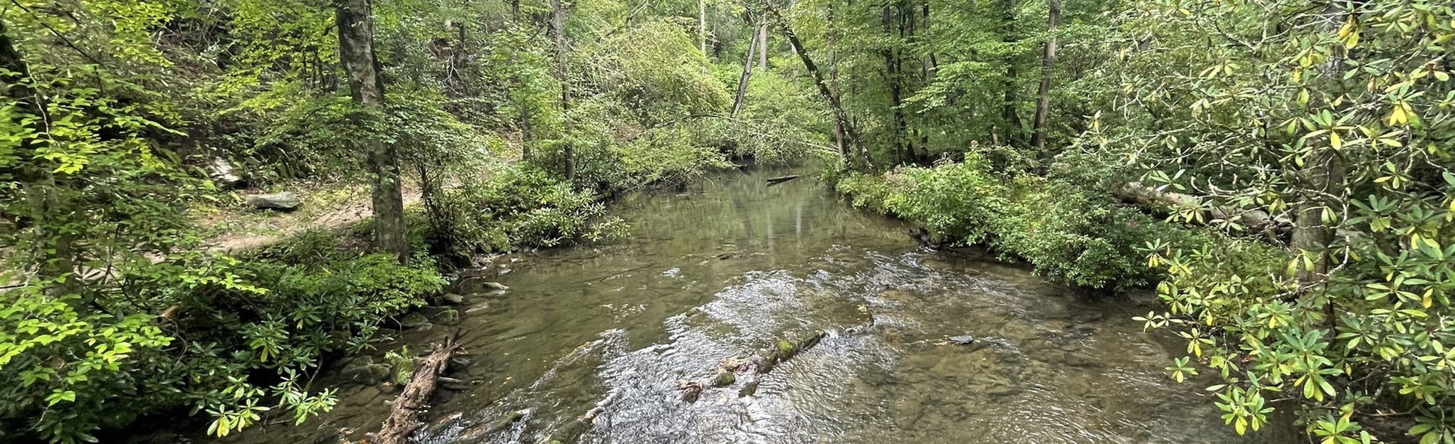 Rabbit Creek Trail 39 Reviews, Map Tennessee AllTrails