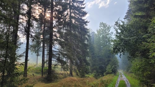 Kammweg Erzgebirge-Vogtland Etappe 1: Geising - Holzhau