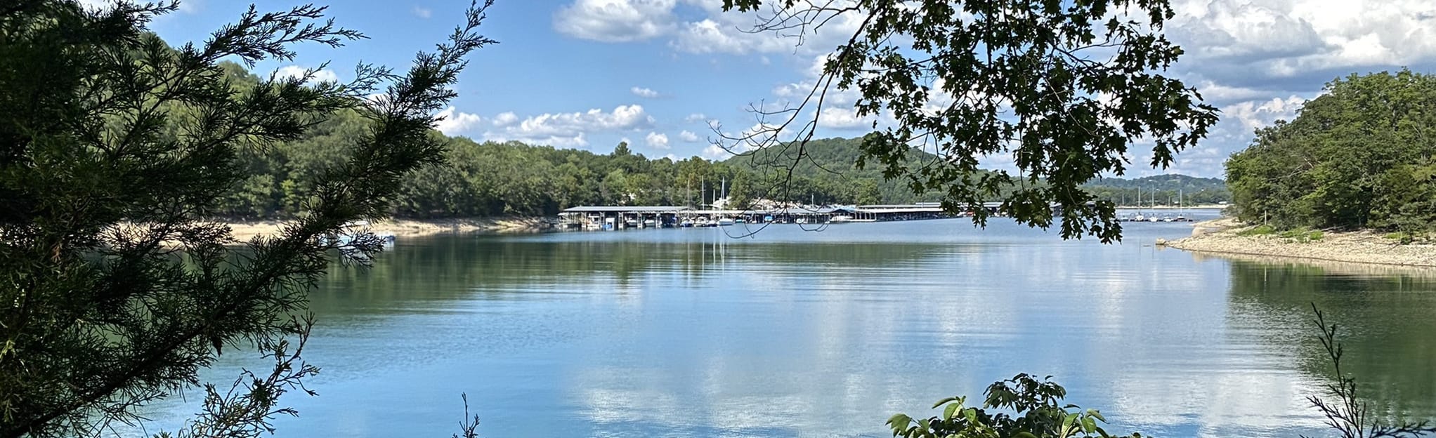 Beaver Lake Loop via Lost Bridge Trail Arkansas AllTrails
