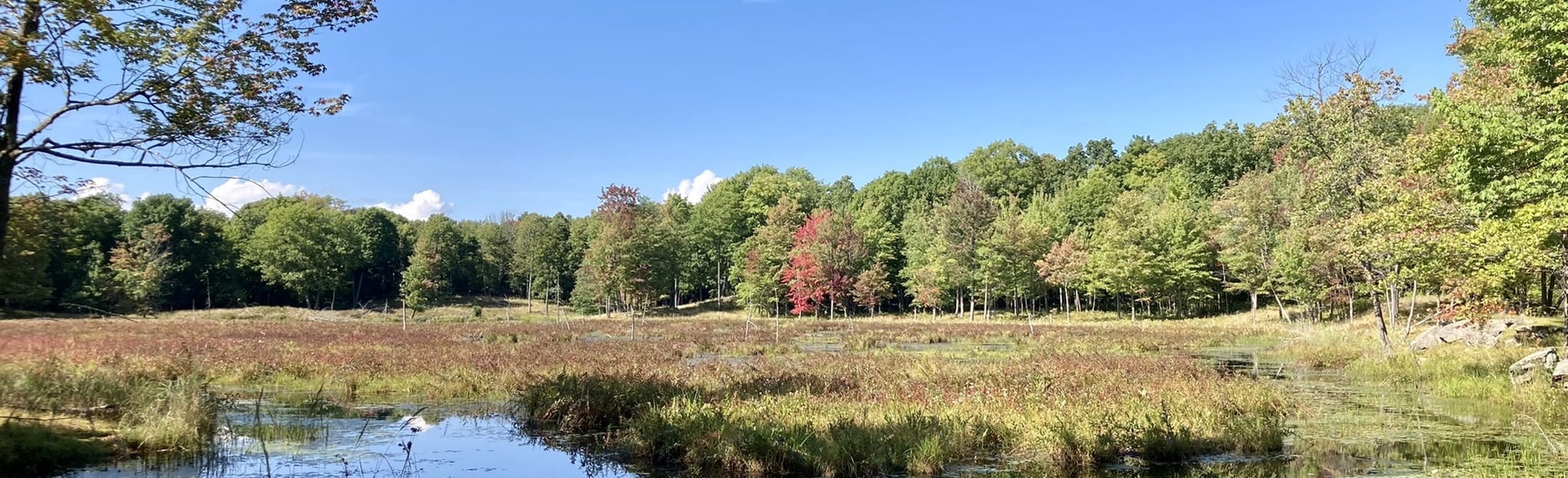 Gibson Lake Loop, Ontario, Canada 85 Reviews, Map AllTrails