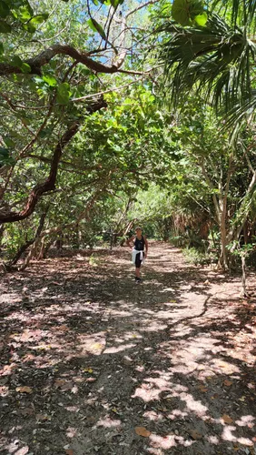 Hiking Key Biscayne – Florida Hikes