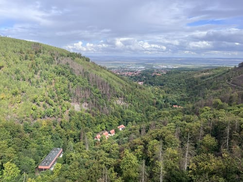 Durch das Ilsetal zur Plessenburg