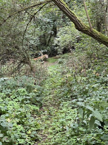 Wanderung Kühlbach