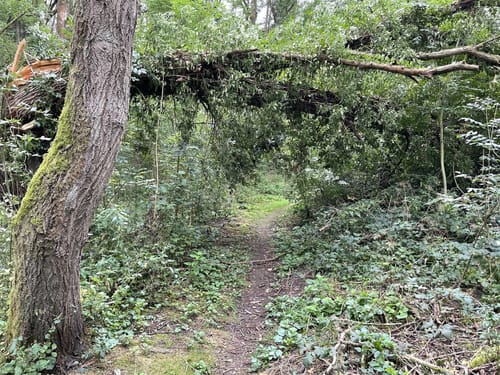 Wanderung Kühlbach