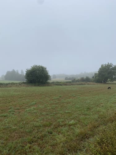 Von Waltrop nach Ickern