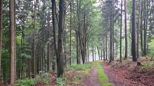 Kammweg Erzgebirge-Vogtland Etappe 2: Holzhau - Sayda