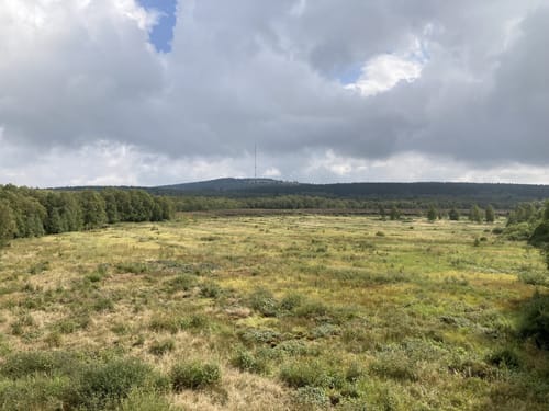 Ums Rote Moor