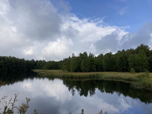 Ums Rote Moor