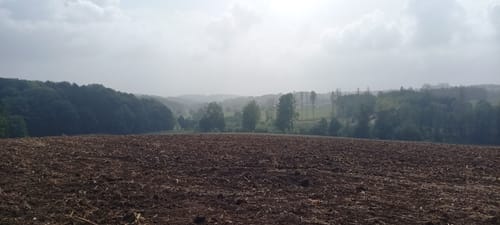 Much Rundweg Volldreieck