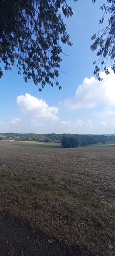 Much Rundweg Volldreieck