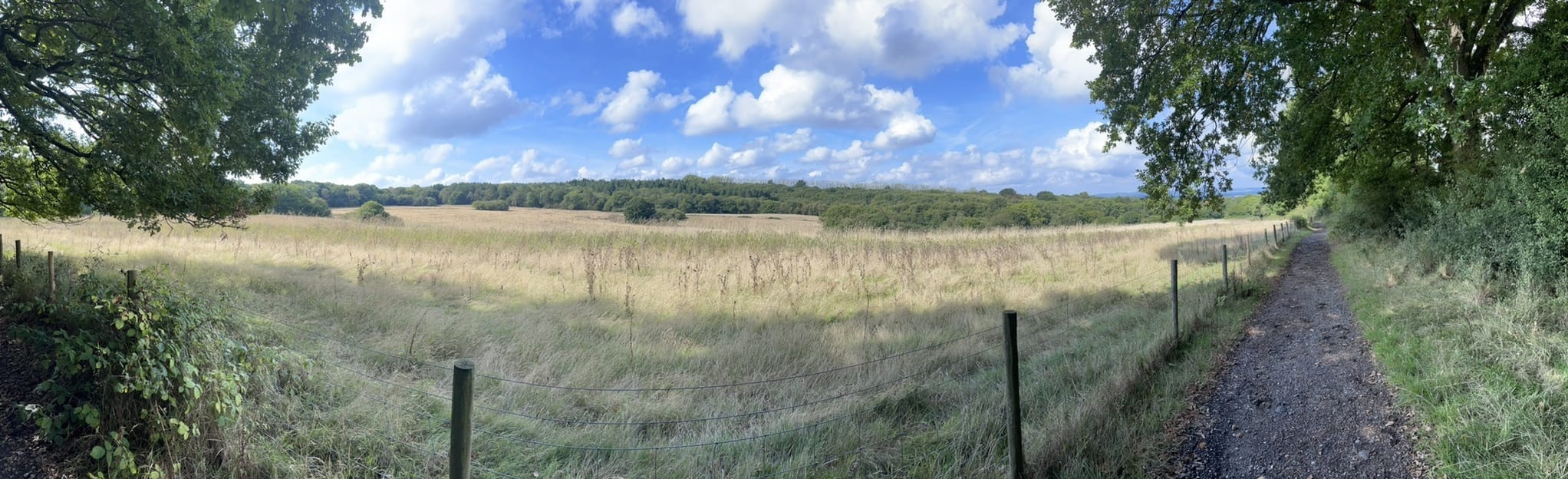 Marsh Green Circular Kent, England AllTrails