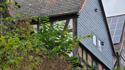 Amöneburg Rundweg