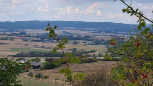 Amöneburg Rundweg